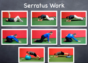 serratus-exercise-screenshot