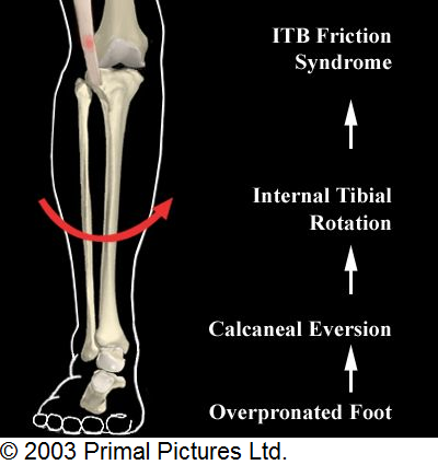 Effects of Pronation