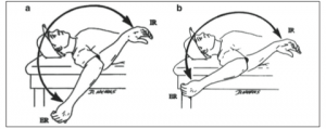 total-shoulder-rom